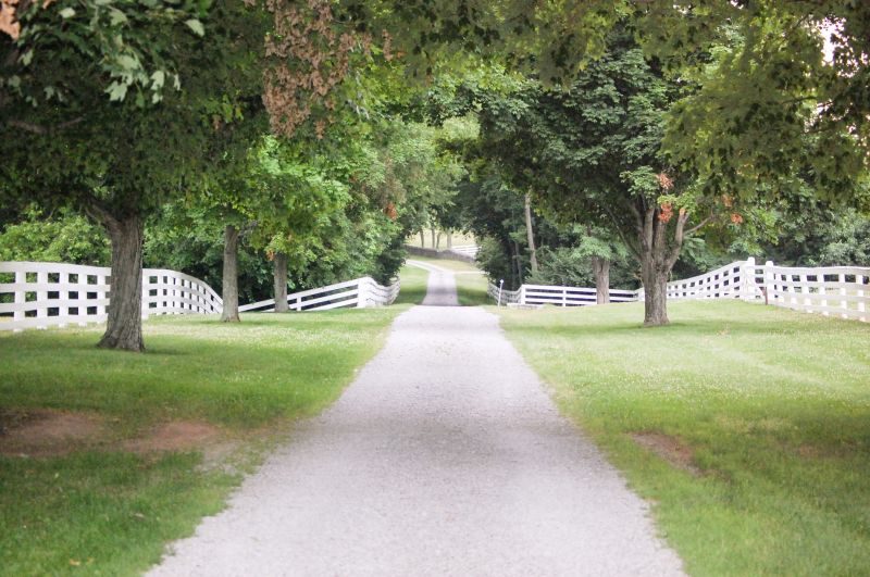 Brick Vs. Stone Walkways: Choosing The Right Material