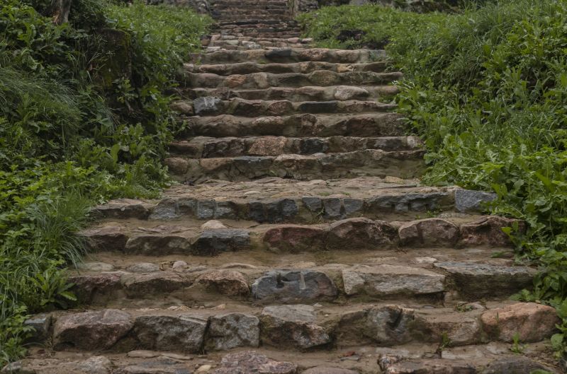 Stone Steps Repair